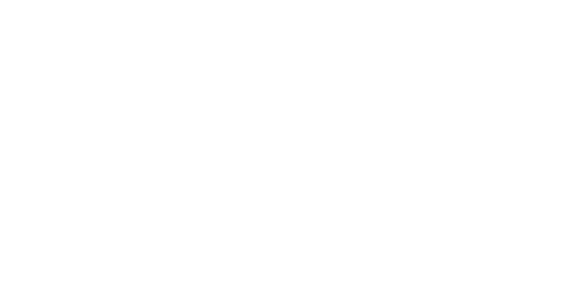 Cadillac F1 Team